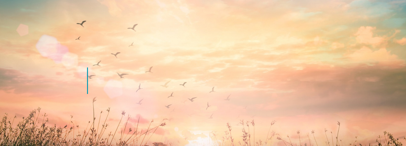 A grounded approach to therapy — peaceful nature scene